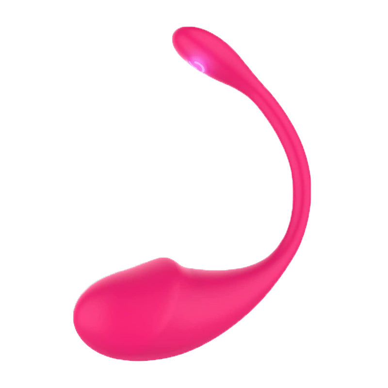 D-24 WhisperTadpole baby monitor with sleek black camera and microphone setup for clear audio and video monitoring.